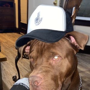 Meet your Posher, Baby bankroll